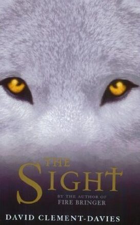 Book Summary The Sight