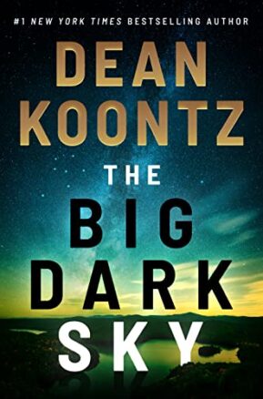 Book Summary The Big Dark Sky