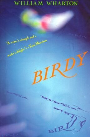Book Summary Birdy