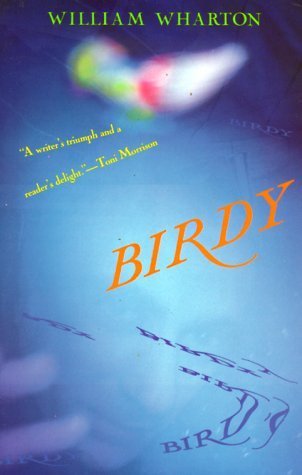 Book Summary Birdy