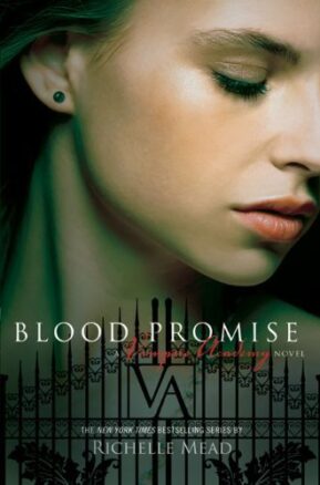 Book Summary Blood Promise