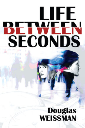 Book Summary Life Between Seconds