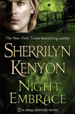 Book Summary Night Embrace