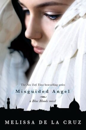 Book Summary Misguided Angel