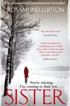 Book Summary Sister