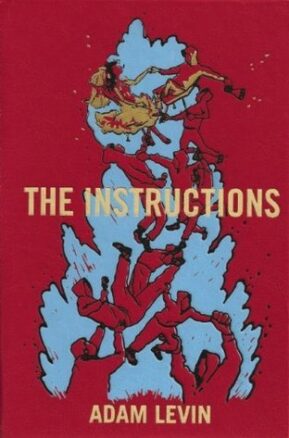 Book Summary The Instructions