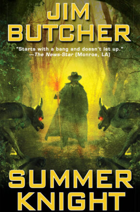 Book Summary Summer Knight