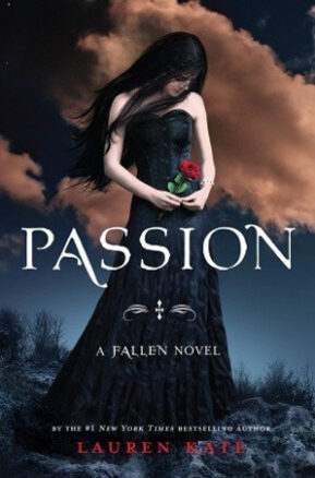 Book Summary Passion