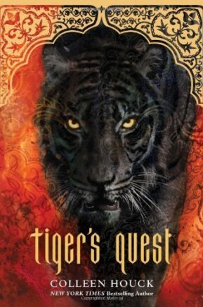 Book Summary Tiger's Quest