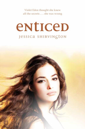 Book Summary Enticed