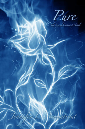 Book Summary Pure