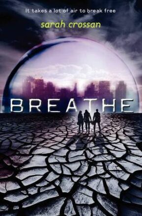 Book Summary Breathe