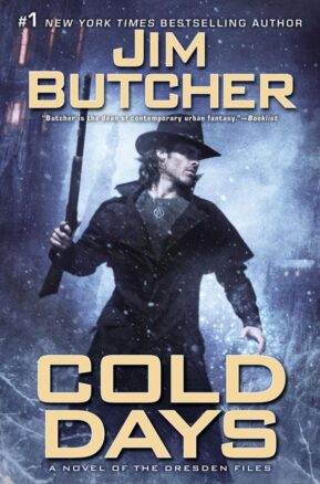 Book Summary Cold Days