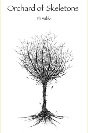 Book Summary Orchard of Skeletons