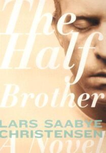 Book Summary The Half Brother