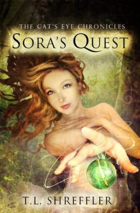 Book Summary Sora's Quest