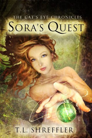 Book Summary Sora's Quest