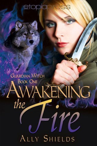 Book Summary Awakening the Fire