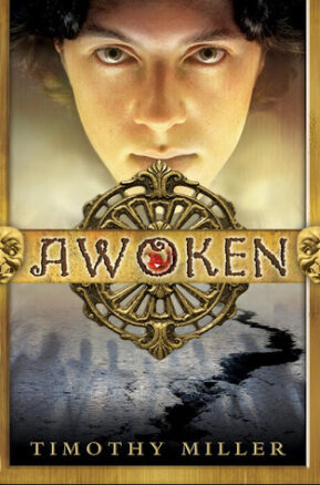 Book Summary Awoken