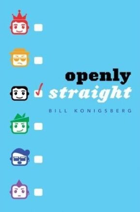 Book Summary Openly Straight