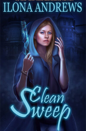 Book Summary Clean Sweep