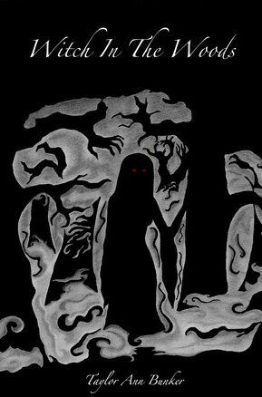 Book Summary Witch in the Woods