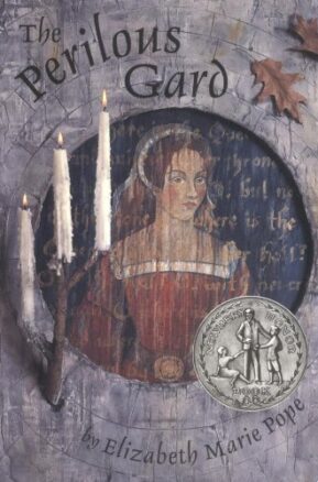 Book Summary The Perilous Gard