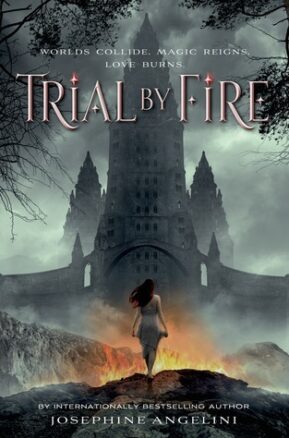 Book Summary Trial by Fire