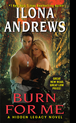 Book Summary Burn for Me