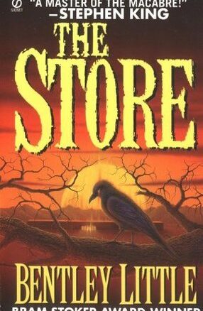 Book Summary The Store