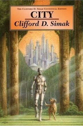 Book Summary City