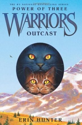 Book Summary Outcast