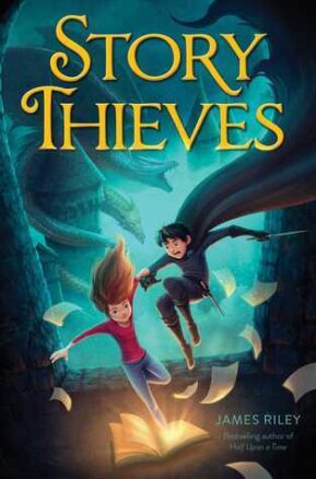 Book Summary Story Thieves