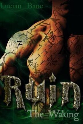 Book Summary The Waking