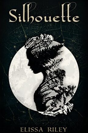 Book Summary Silhouette