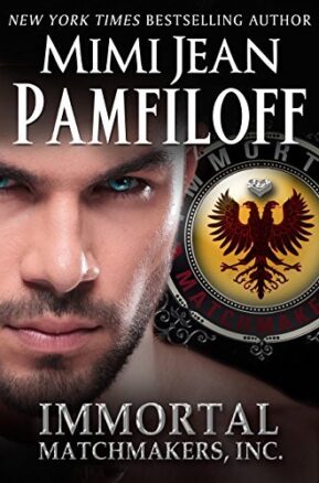 Book Summary Immortal Matchmakers, Inc.