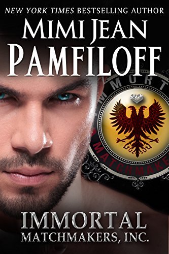 Book Summary Immortal Matchmakers, Inc.