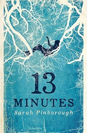 Book Summary 13 Minutes