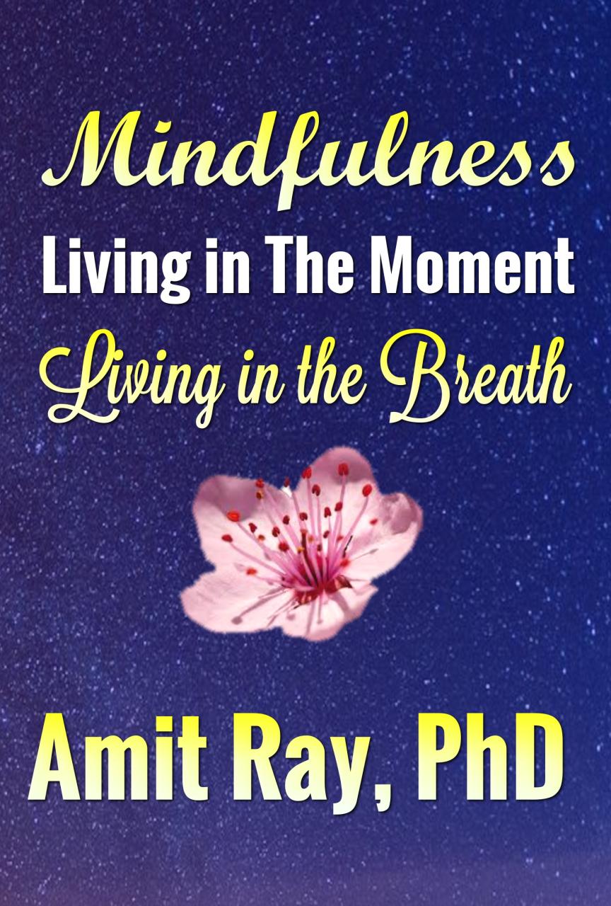 Book Summary Mindfulness Living in the Moment - Living in the Breath