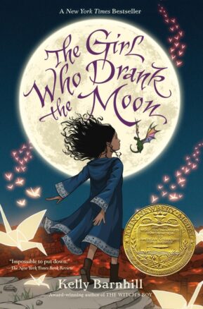 Book Summary The Girl Who Drank the Moon