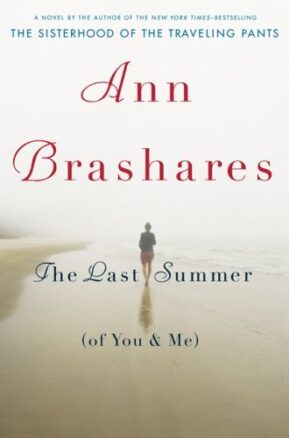 Book Summary The Last Summer of You and Me