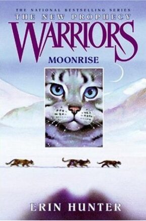 Book Summary Moonrise