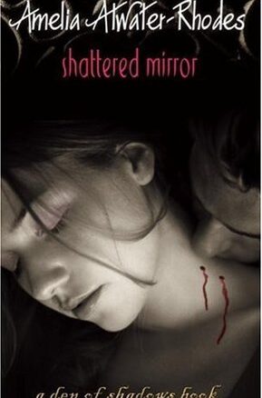 Book Summary Shattered Mirror