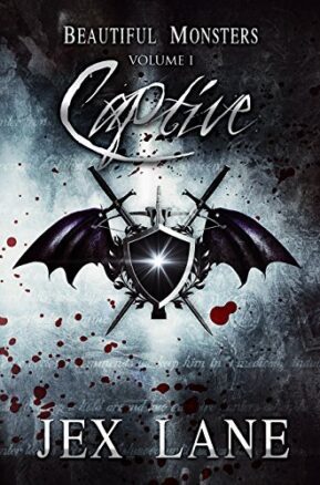 Book Summary Captive