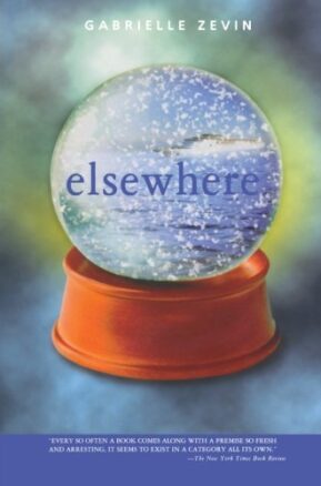 Book Summary Elsewhere