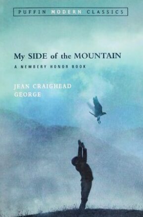 Book Summary My Side of the Mountain