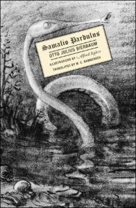 Book Summary Samalio Pardulus