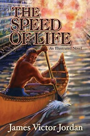Book Summary The Speed of Life
