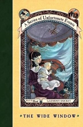 Book Summary The Wide Window