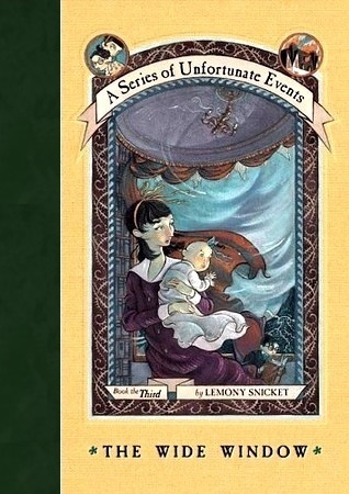 Book Summary The Wide Window